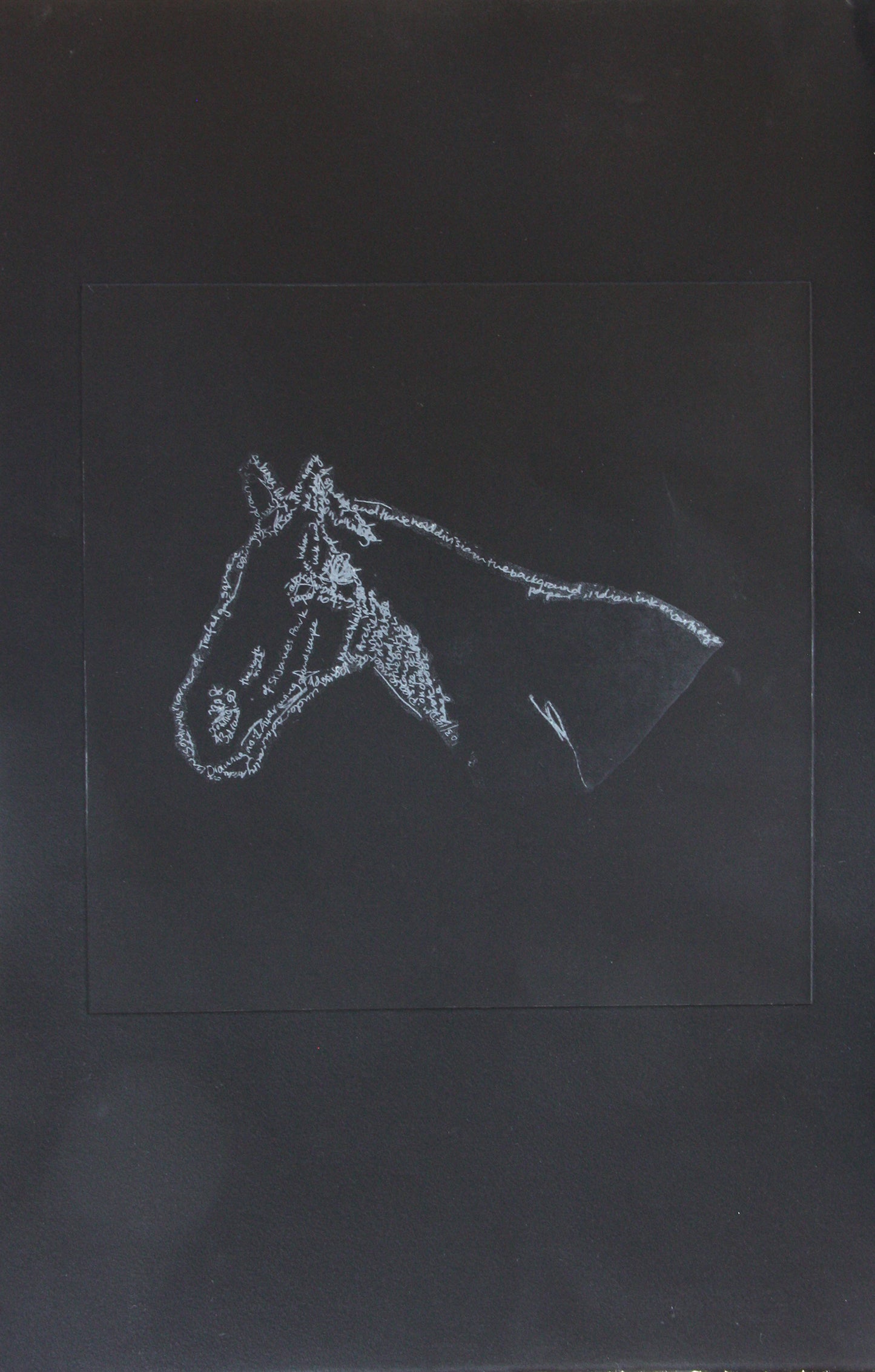 Mark Wallinger's White Horse image 0