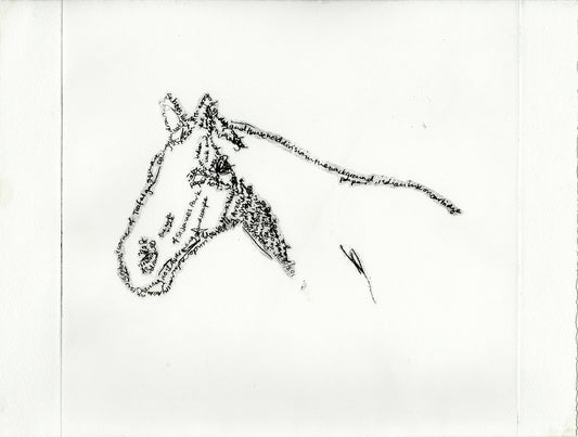 Mark Wallinger’s White Horse image 0