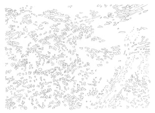 Water Reflections II image 0