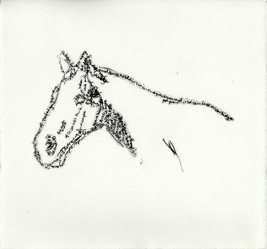 Mark Wallinger’s White Horse image 0
