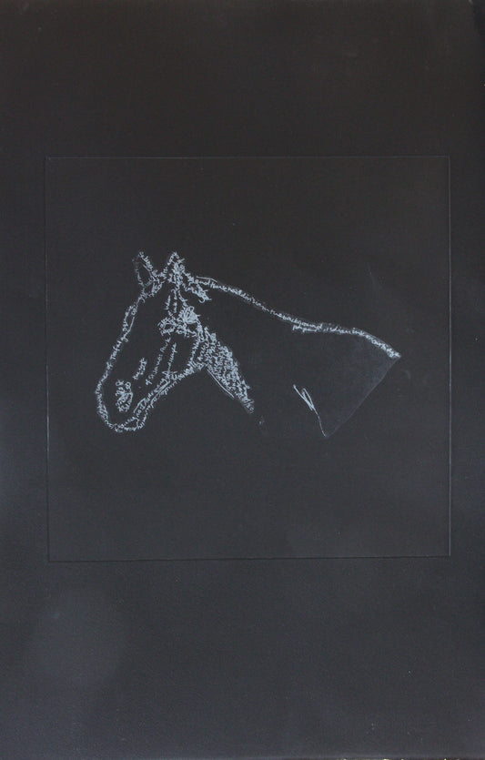 Mark Wallinger's White Horse image 0