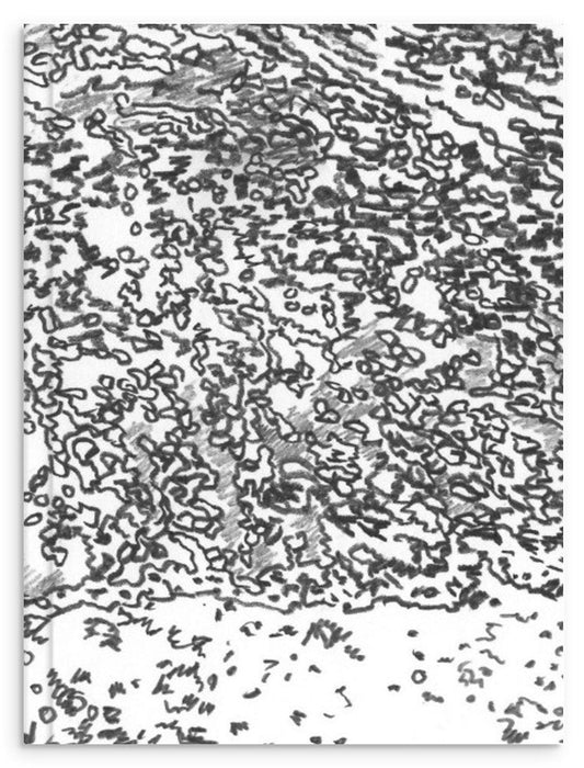 a09f342c-ab2b-4aa7-9477-84353e415030