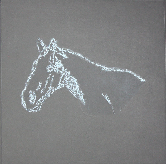 Mark Wallinger's White Horse image 0