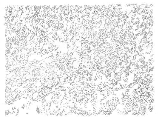 Water Reflections image 0